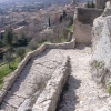 Agrandir